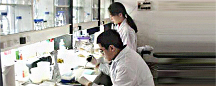 自主材料研發 自主材料研發